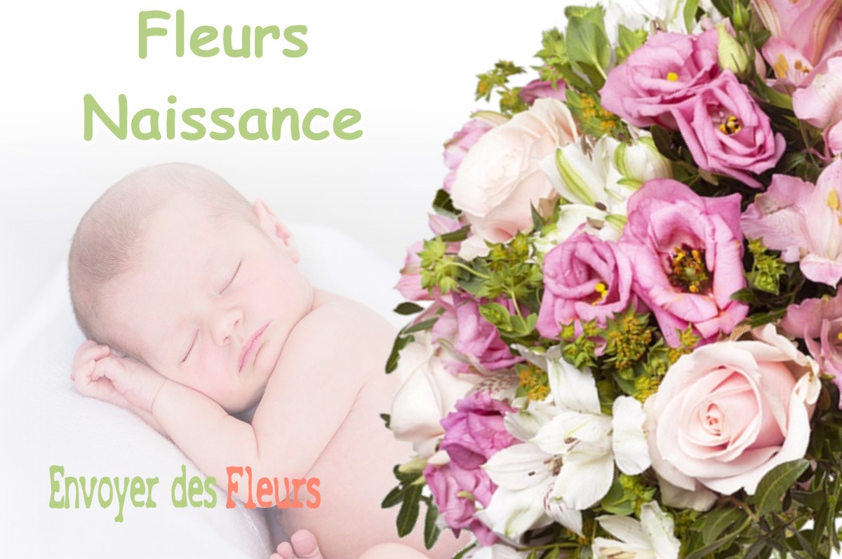 lIVRAISON FLEURS NAISSANCE à LOMBREUIL